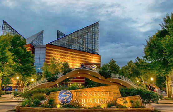 48e1ee3d ba4b 447c ade9 bf15e1dbaa9e.jpg