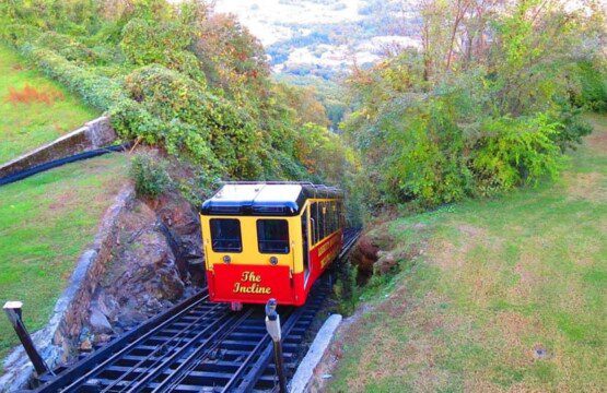 7eba691b 8f98 4946 9c13 9be5ddaedf98.jpg